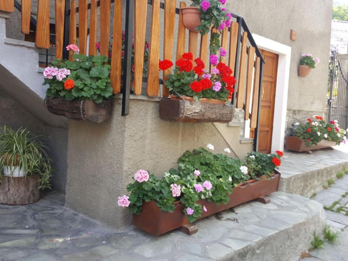 باردونيكيا Deacons Lodge المظهر الخارجي الصورة