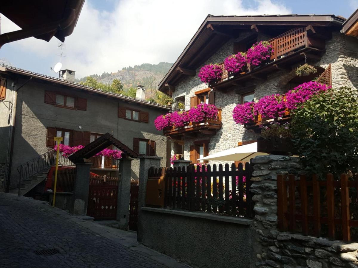 باردونيكيا Deacons Lodge المظهر الخارجي الصورة