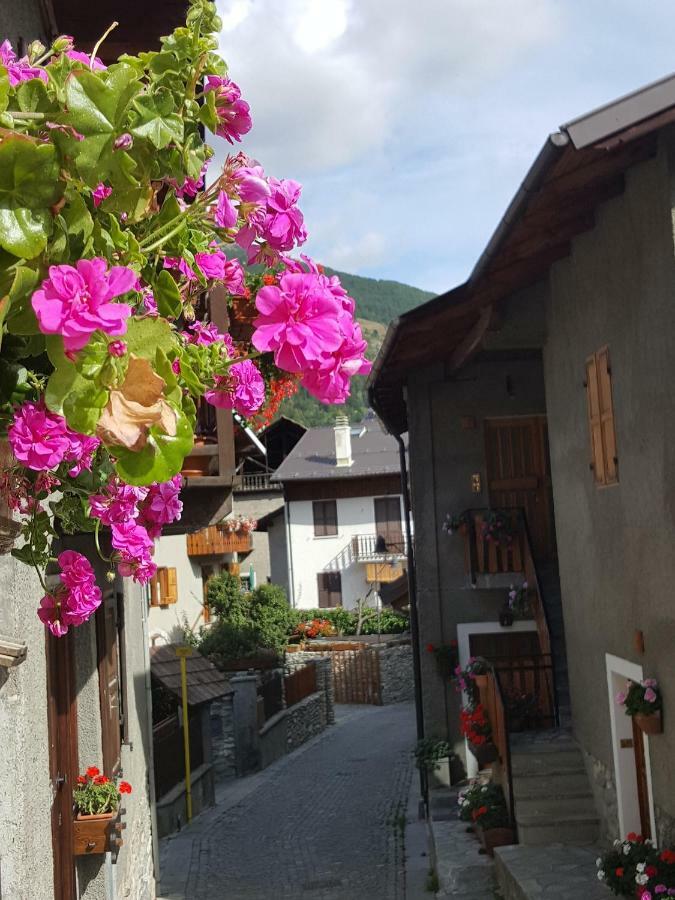 باردونيكيا Deacons Lodge المظهر الخارجي الصورة